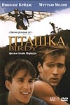 Пташка