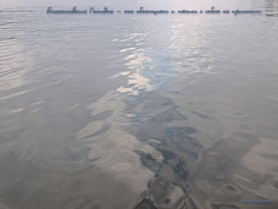 Море